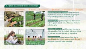 một số ngành nghề trong trồng trọt
