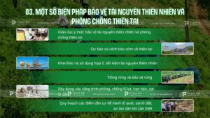 một số biện pháp bảo vệ thiên nhiên việt nam