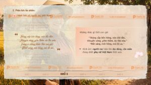 phân tích đoạn văn đường về quê mẹ