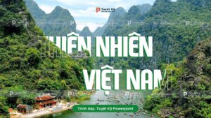 thiên nhiên việt nam