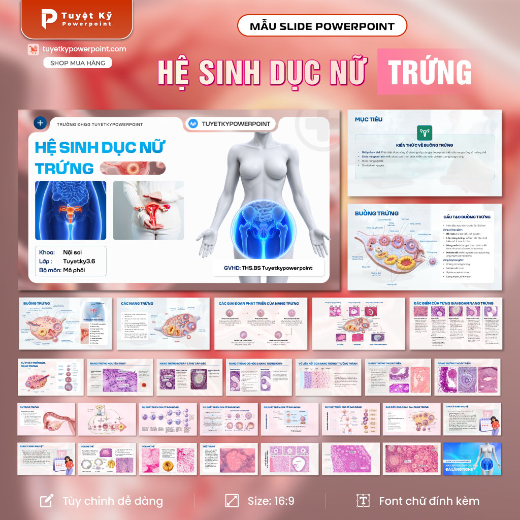 hệ sinh dục nữ