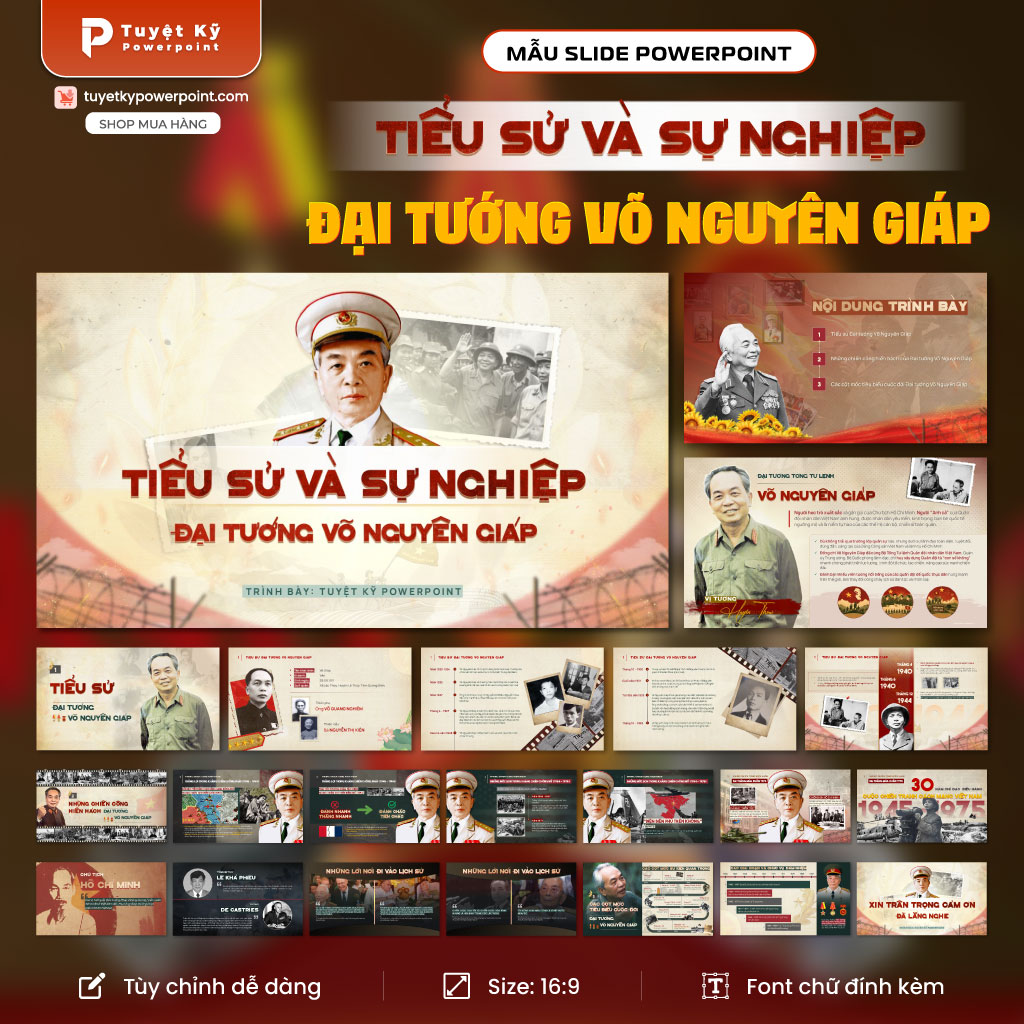 tiểu sử và sự nghiệp đại tưởng võ nguyên giáp