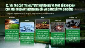 vai trò của thiên nhiên việt nam