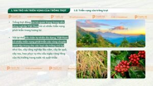 vai trò và triển vọng của trồng trọt
