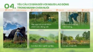 yêu cầu cơ bản đối với người lao động trong chăn nuôi