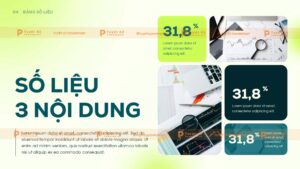 báo cáo số liệu