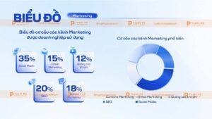 biểu đồ cơ cấu các kênh marketing