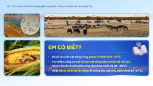 các nhân tố ảnh hưởng đến sự phát triển và phân bố của sinh vật
