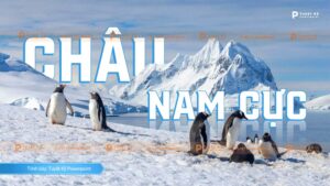 châu nam cực