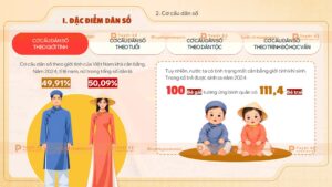 đặc điểm dân số việt nam