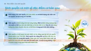 đặc điểm sinh quyển