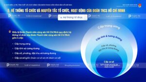 hệ thống tổ chức và nguyên tắc hoạt động đoàn thanh niên cộng sản hồ chí minh