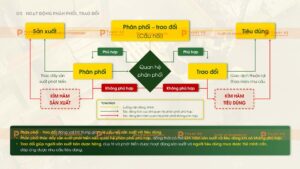 hoạt động phân phối và trao đổi