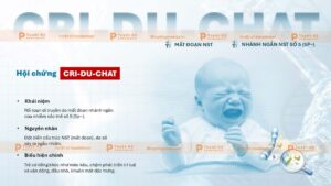 hội chấn cri du chat