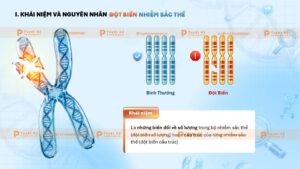 đột biến cấu trúc nhiễm sắc thể