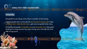sóng thủy triều và dòng biển