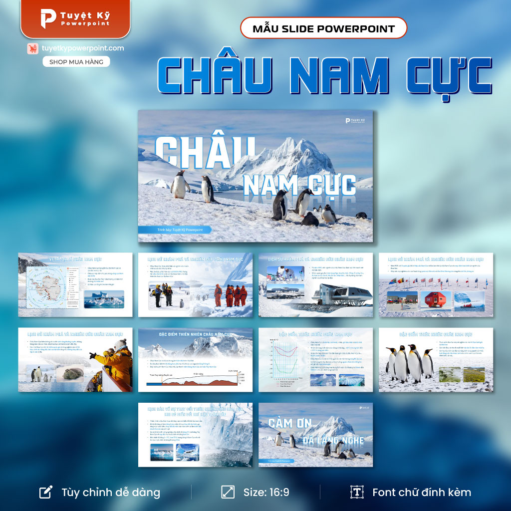 châu nam cực