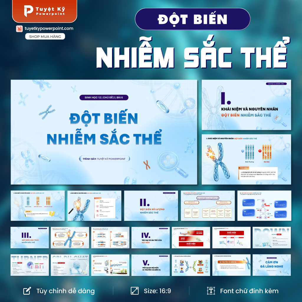 đột biến nhiễm sắc thể