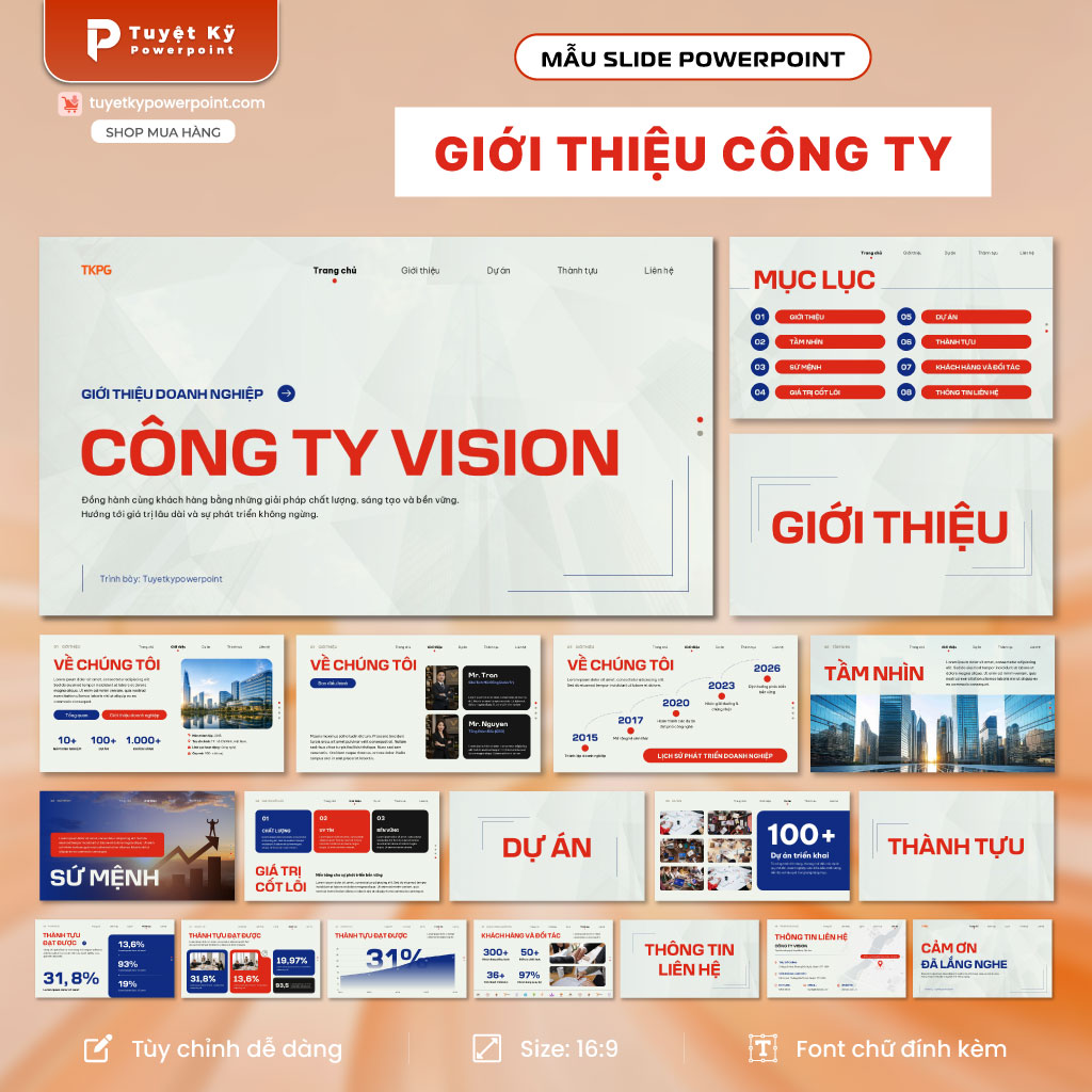 giới thiệu công ty profile