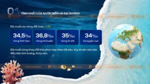tính chất của nước biển và đại dương