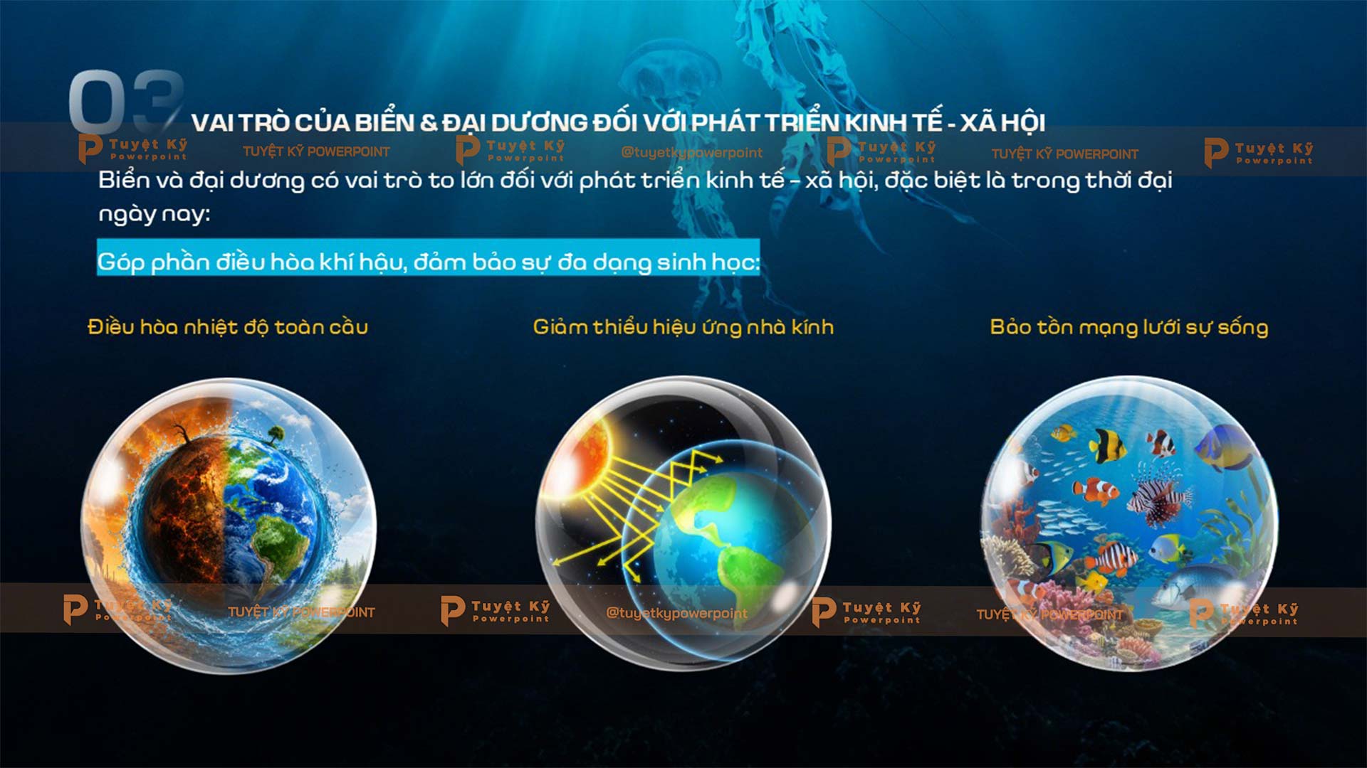 vai trò của biển và đại dương