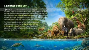 đa dạng động vật
