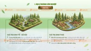 địa lí ngành lâm nghiệp