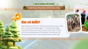 hoạt động trồng cây và khai thác rừng