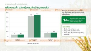 năng suất và hiệu quả sử dụng đất