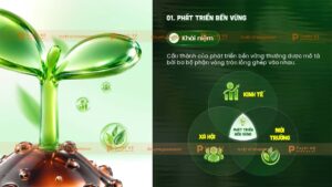 phát triển bền vững