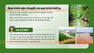 quá trình vận chuyển và bồi tụ