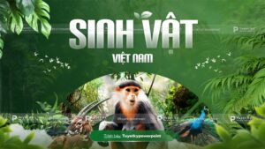 sinh vật việt nam