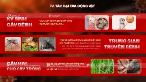 tác hại của động vật