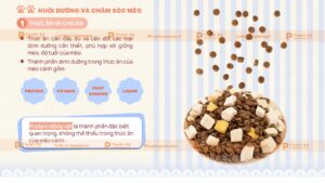 thức ăn và cách cho mèo ăn