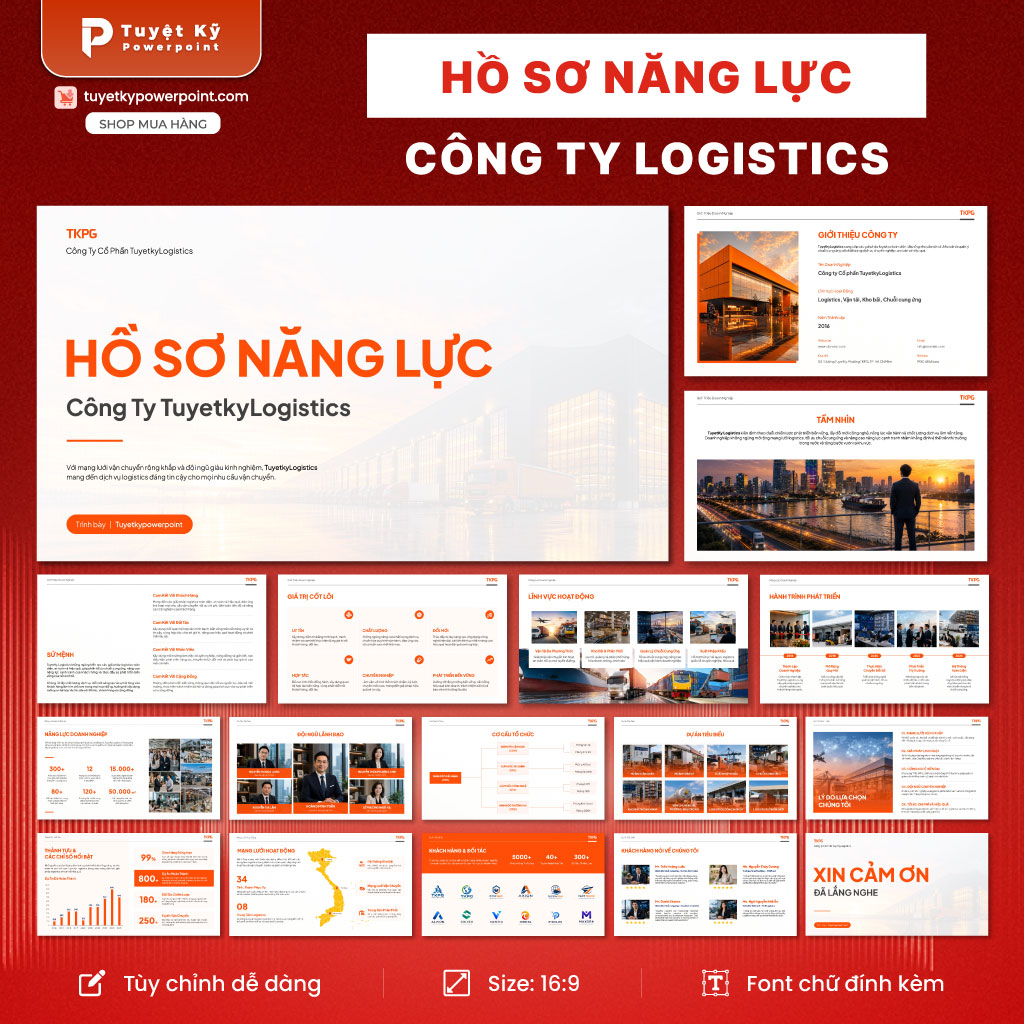 hồ sơ năng lực công ty logistics
