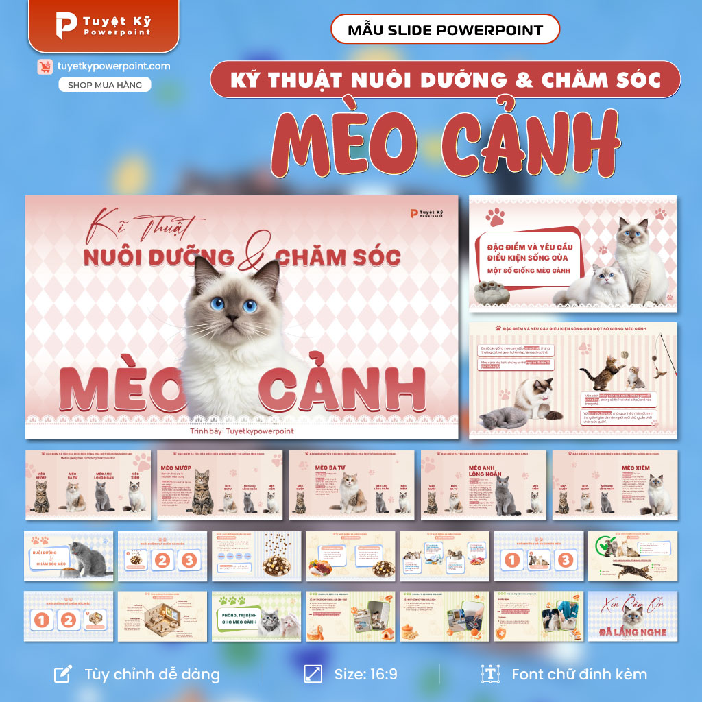 nuôi và chăm sóc mèo