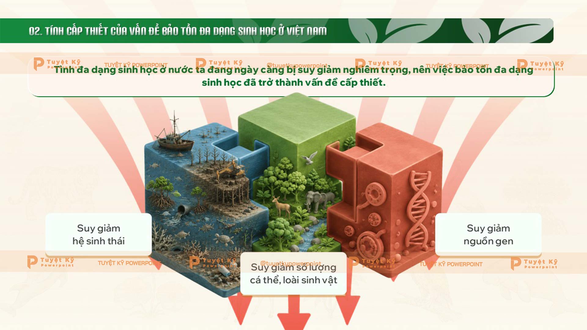 tính cấp thiết của vấn đề bảo tồn đa dạng sinh học ở việt nam
