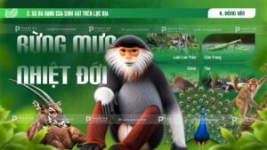 động vật rừng mưa nhiệt đới
