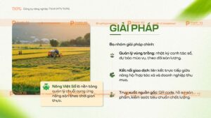 giải pháp số hóa chuối cung ứng nông sản việt