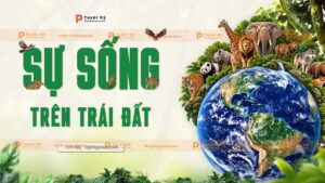 động vật rừng mưa nhiệt đới