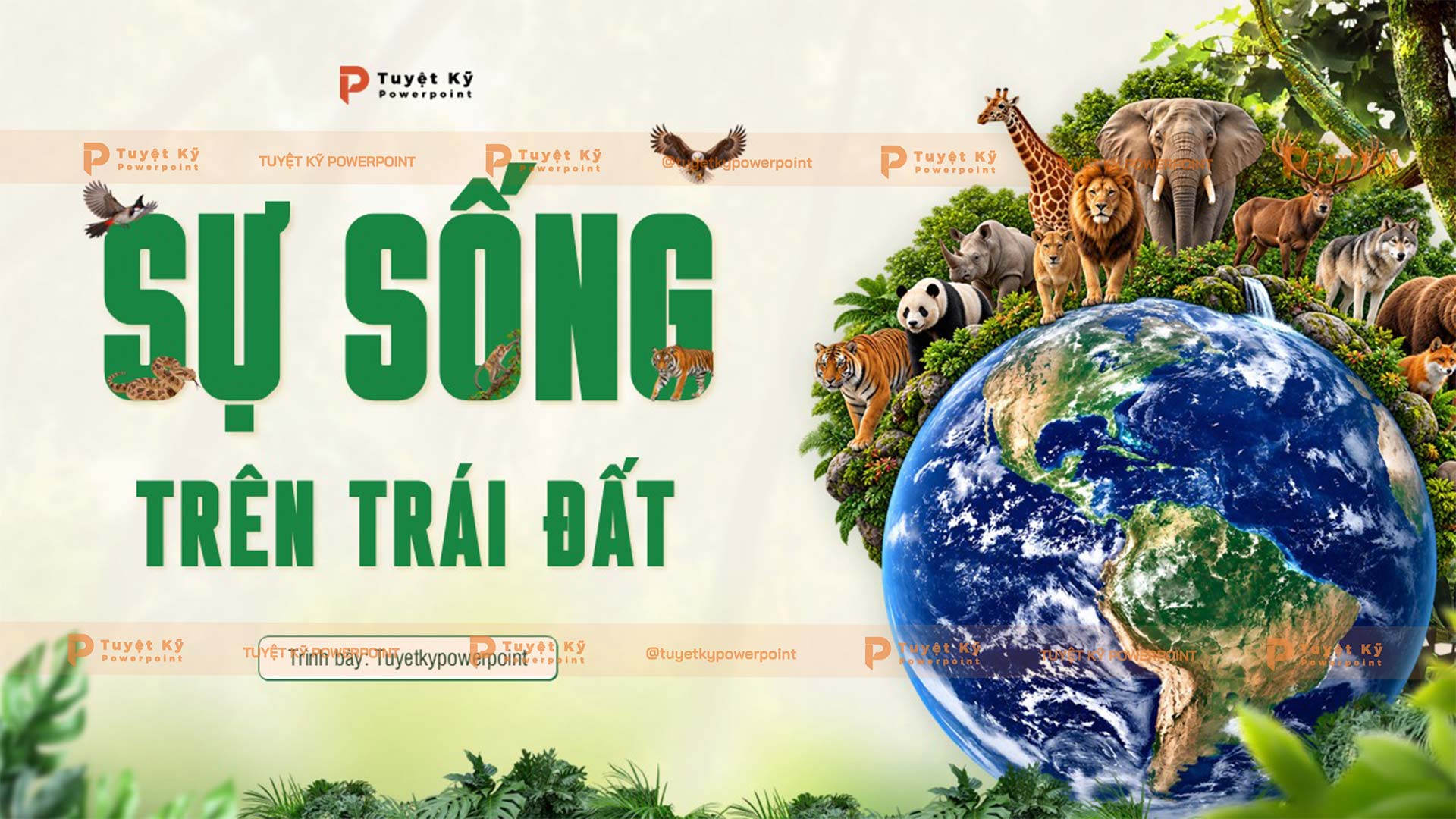 động vật rừng mưa nhiệt đới