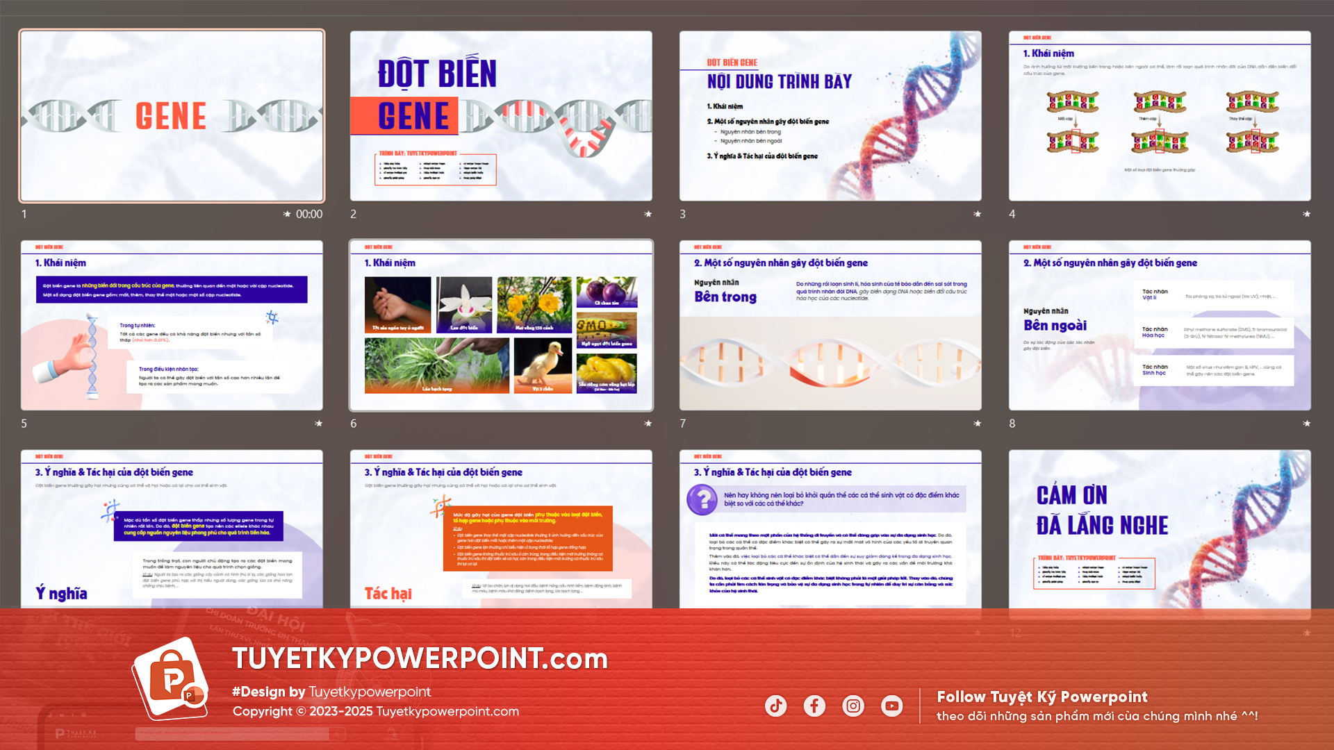 Tải ngay mẫu slide môn sinh học lớp 12 bài 4