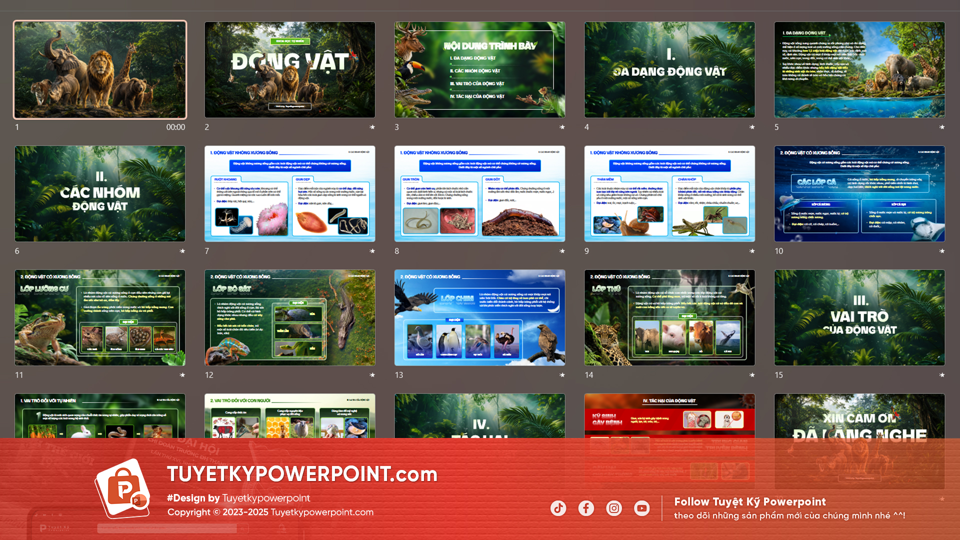 Tải ngay mẫu slide môn KHTN lớp 6 bài 3