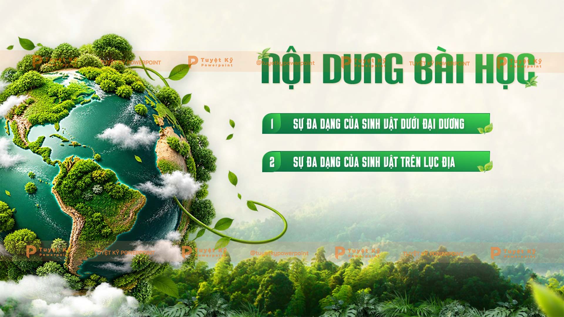 lịch sử địa lí lớp 6 sự sống trên trái đất