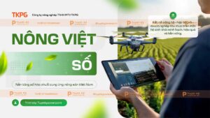 số hóa chuối cung ứng nông sản việt