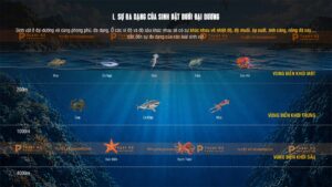 sự đa dạng của sinh vật dưới đại dương