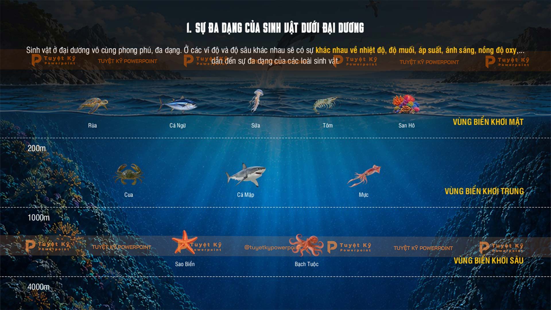 sự đa dạng của sinh vật dưới đại dương