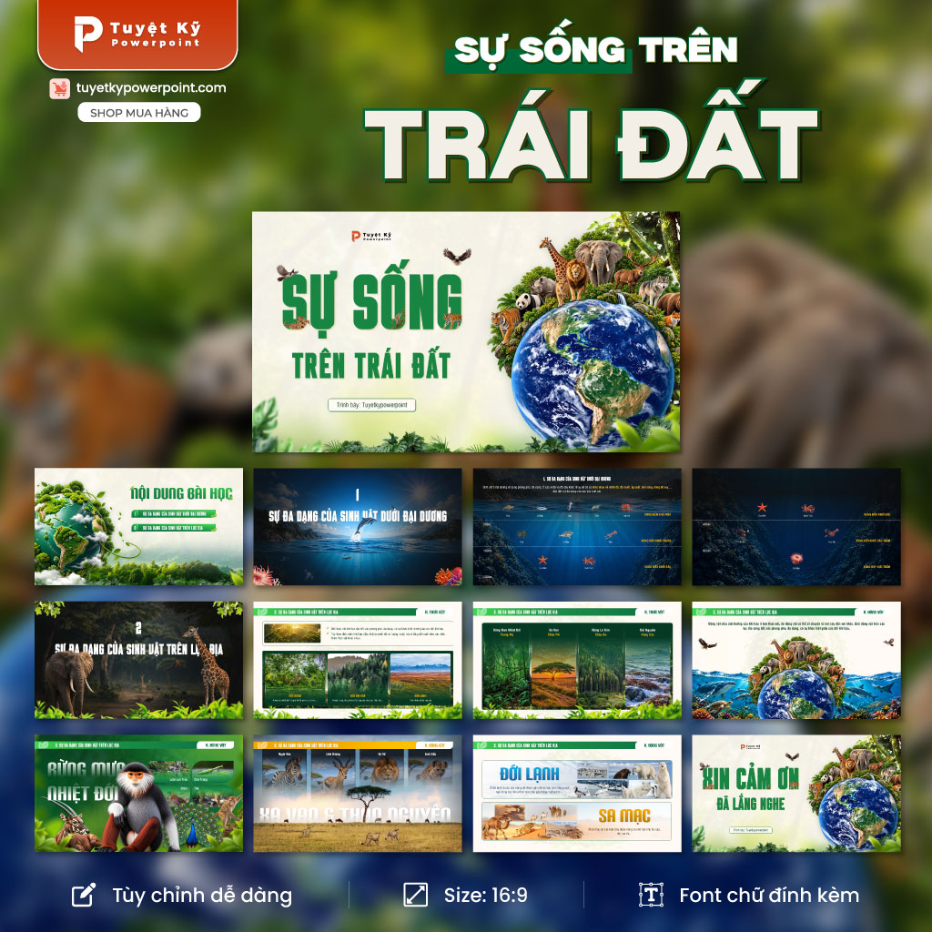 lịch sử địa lí lớp 6 sự sống trên trái đất
