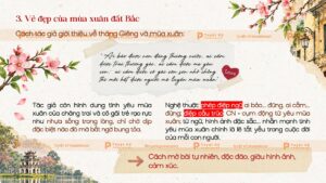 vẽ đẹp của mùa xuân đất bắc