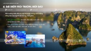 đặc điểm môi trường biển đảo